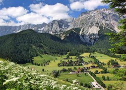 Austria, Gmina Ramsau am Dachstein, Góry Alpy Salzburskie, Domy, Dolina, Roślinność