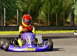 Karting, Tor, Gokarty