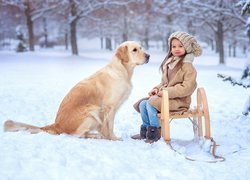Dziewczynka, Pies, Golden retriever, Sanki, Śnieg, Zima