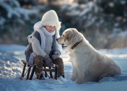 Chłopiec, Zima, Sanki, Pies, Golden retriever, Śnieg