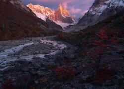 Argentyna, Patagonia, Góry, Cerro Torre, Rzeka, Roślinność