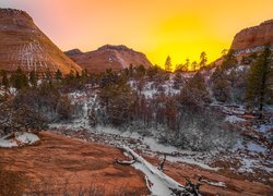 Park Narodowy Zion, Stan Utah, Stany Zjednoczone, Zima, Śnieg, Drzewa, Góra, Checkerboard Mesa