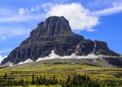 Stany Zjednoczone, Stan Montana, Park Narodowy Glacier, Góry, Góra Clements Mountain, Drzewa