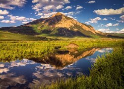 Stany Zjednoczone, Kolorado, Góra, Crested Butte Mountain, Rzeka, Krzewy, Trawa