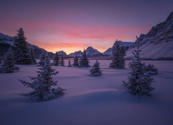 Kanada, Alberta, Park Narodowy Banff, Góra Crowfoot Mountain, Góry, Zima, Zamarznięte, Jezioro Bow Lake, Zachód słońca, Drzewa