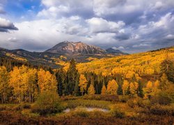 Jesień, Góry East Beckwith Mountain, Drzewa, Niebo, Chmury, Hrabstwo Gunnison, Stan Kolorado, Stany Zjednoczone