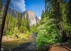 Park Narodowy Yosemite, Góra, El Capitan, Rzeka, Merced River, Drzewa, Krzewy, Stany Zjednoczone, Kalifornia