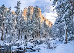 Park Narodowy Yosemite, Kalifornia, Stany Zjednoczone, Zima, Drzewa, Góra, El Capitan, Rzeka
