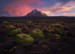 Góra i teren Parku Narodowego Sajama w Boliwii