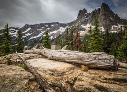 Góry Kaskadowe, Góra Liberty Bell Mountain, Park Narodowy Północnych Gór Kaskadowych, Drzewa, Skały, Stan Waszyngton, Stany Zjednoczone