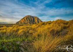 Góra Morro Rock