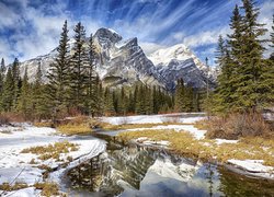 Zima, Góry, Canadian Rockies, Góra, Mount Kidd, Drzewa, Śnieg, Roztopy, Alberta, Kanada