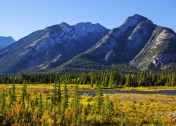 Kanada, Park Narodowy Banff, Góra Mount Norquay, Jesień