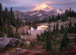 Stratowulkan, Góra, Mount Rainier, Drzewa, Jezioro, Tipsoo Lake, 
Park Narodowy Mount Rainier, Waszyngton, Stany Zjednoczone