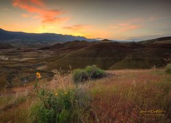 Góry, Góra Painted Hills, Roślinność, Wschód słońca, Park Narodowy John Day Fossil Beds National Monument, Stan Oregon, Stany Zjednoczone