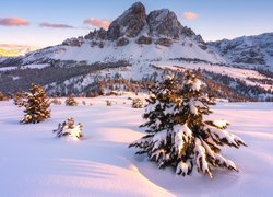 Góry, Dolomity, Góra Peitlerkofel, Przełęcz, Passo delle Erbe, Śnieg, Drzewa, Zima, Południowy Tyrol, Włochy