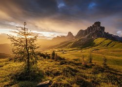 Góry, Dolomity, Góra Ra Gusela, Przełęcz Giau Pass, Wschód słońca, Chmury, Droga, Drzewo, Włochy