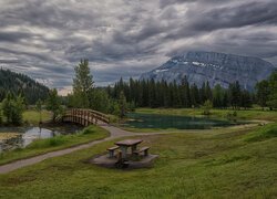 Góry, Góra, Mount Rundle, Drzewa, Staw, Mostek, Park Narodowy Banff, Alberta, Kanada