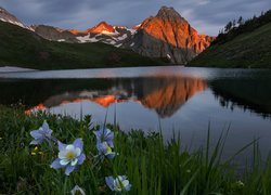 Góry, San Juan Mountains, Góra Sneffels, Jezioro, Blue Lake, Łąka, Kwiaty, Orlik niebieski, Stan Kolorado, Stany Zjednoczone