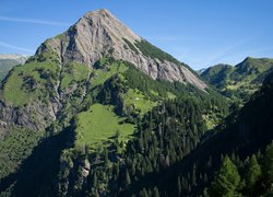 Szwajcaria, Góry, Alpy Lepontyjskie, Góra, Sosto Mountain, Skały, Drzewa, Krzewy, Trawa