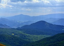 Bieszczady, Góry, Góra Tarnica, Wzgórza, Lasy, Polska