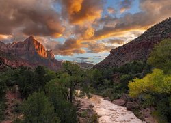 Stany Zjednoczone, Stan Utah, Park Narodowy Zion, Góry, Góra Watchman, Rzeka, Virgin River, Drzewa