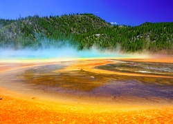 Stany Zjednoczone, Park Narodowy Yellowstone, Gorące źródło, Opary, Las, Wzgórze