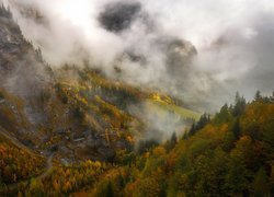 Jesień, Mgła, Góry, Lasy, Drzewa, Droga
