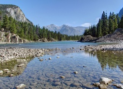 Górska rzeka z przeźroczystą wodą i kamienistym dnem