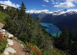 Kanada, Kolumbia Brytyjska, Jezioro Cheakamus, Park Prowincjonalny Garibaldi, Góry, Ścieżka