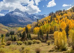 Górski jesienny krajobraz