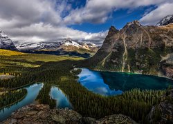 Drzewo, Góry, Jezioro, Mary Lake, Jezioro OHara, Las, Park, Park Narodowy Yoho, Kanada