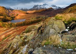 Góry, Dolina, Jezioro, Blea Tarn, Drzewa, Skały, Chmury, Park Narodowy Lake District, Anglia