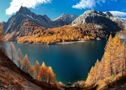 Jesień, Góry, Alpy, Drzewa, Modrzewie, Jezioro, Lago Devero, Włochy