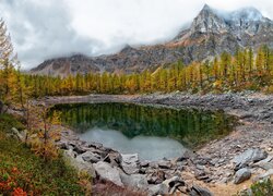 Jesień, Góry, Mgła, Żółte, Drzewa, Kamienie, Jezioro, Lago Nero, Włochy
