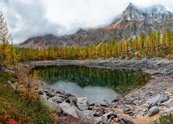 Górskie jezioro Lago Nero na tle gór