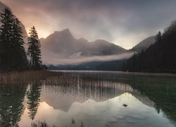 Góry, Jezioro, Leopoldsteinersee, Drzewa, Mgła, Austria