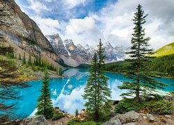 Kanada, Prowincja Alberta, Park Narodowy Banff, Jezioro Moraine, Las, Drzewa, Góry