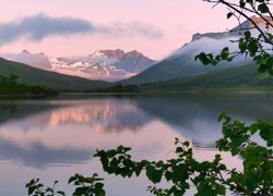 Jezioro, Góry, Drzewa, Gałęzie, Mgła, Odbicie, Wyspa Senja, Norwegia