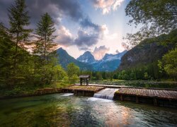 Góry, Alpy, Drzewa, Jezioro Schiederweiher, Hinterstoder, Austria