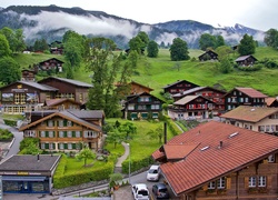 Wioska, Górska, Grindelwald, Domy, Drzewa, Alpy, Mgła, Szwajcaria