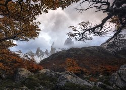 Jesień, Góry Andy, Park Narodowy Los Glaciares, Drzewa, Gałęzie, Kamienie, Patagonia, Argentyna