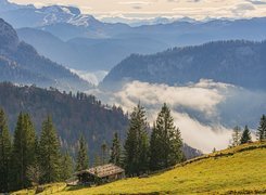 Góry, Bayerische Voralpen, Alpy, Mgła, Dom, Las, Drzewa, Bawaria, Region Chiemgau, Niemcy