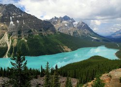 Góry, Canadian Rockies, Jezioro Peyto Lake, Drzewa, Park Narodowy Banff, Kanada