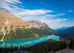 Park Narodowy Banff, Jezioro, Peyto Lake, Góry, Lasy, Alberta, Kanada