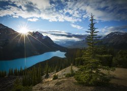 Góry Canadian Rockies i jezioro Peyto Lake w promieniach słońca