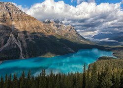 Góry, Canadian Rockies, Chmury, Jezioro Peyto Lake, Drzewa, Park Narodowy Banff, Alberta, Kanada