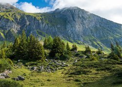 Góry Churfirsten, Dolina, Drzewa, Skały, Kanton Sankt Gallen, Szwajcaria