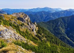 Góry Hochschwab, Skały, Lasy, Styria, Austria