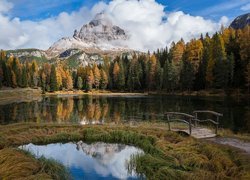 Góry i drzewa nad jeziorem Antorno Lake we Włoszech